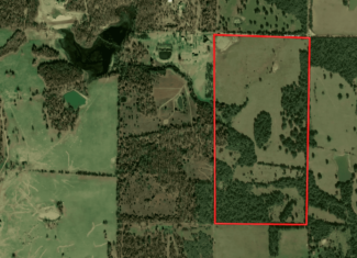 81 Acres in the Arkansas Ozarks